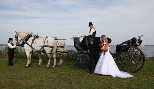 black wedding carriage  vis-a-vis
