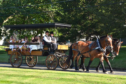 Horse Drawn Carriage Rides MA / Wedding Carriages / Wagon Rides