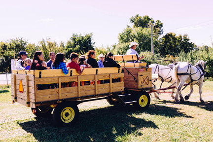 large hayride wagon rides