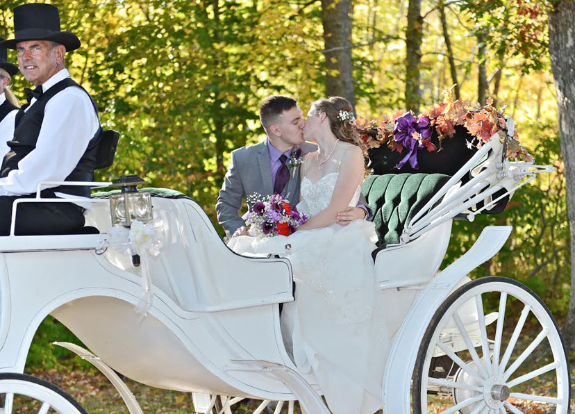 wedding carriage bride, groom