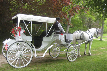 white wedding carriage